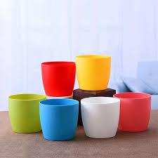 Pots & Plants