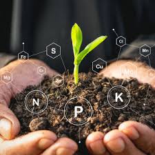 Fertilizer