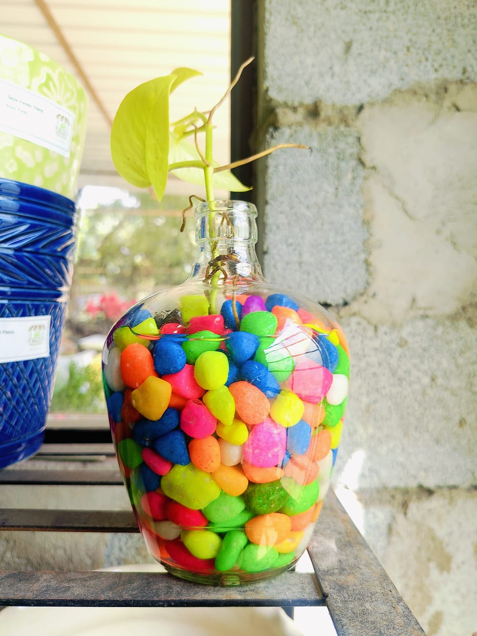 Colorful Pebbles for Pots and Terrarium Garden